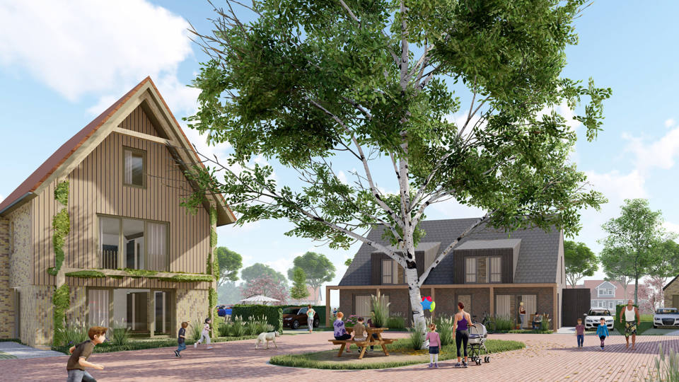  Waterweide :  Waterweide