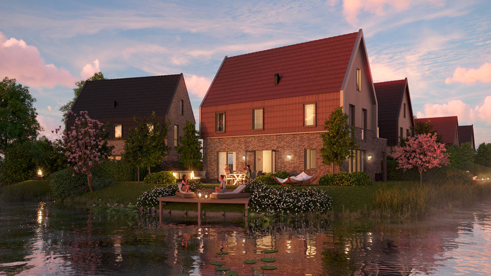  Waterweide :  Waterweide