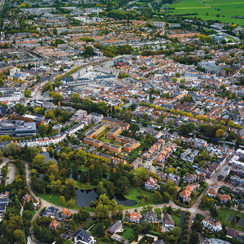 Blaauwe Haan : Blaauwe Haan